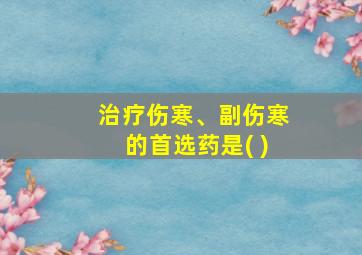 治疗伤寒、副伤寒的首选药是( )